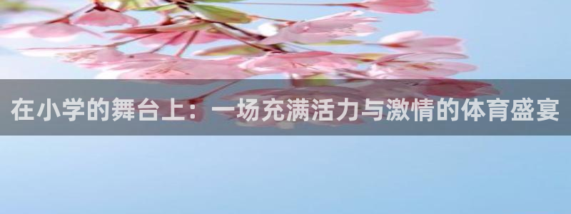 沐鸣平台主管：在小学的舞台上：一场充满活力与激情的体育盛宴