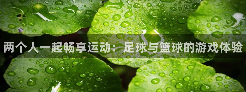 沐鸣2官网：两个人一起畅享运动：足球与篮球的游戏体验