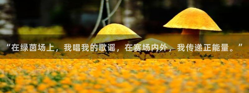 沐鸣2平台注册：“在绿茵场上，我唱我的歌谣，在赛场内外，我传递正能量。”
