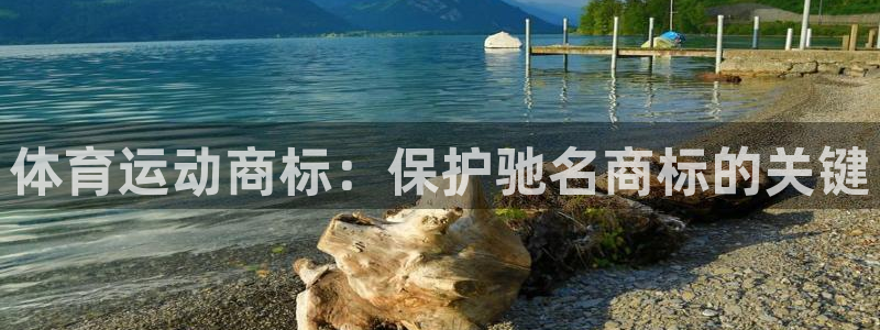 沐鸣2平台官网登录：体育运动商标：保护驰名商标的关键