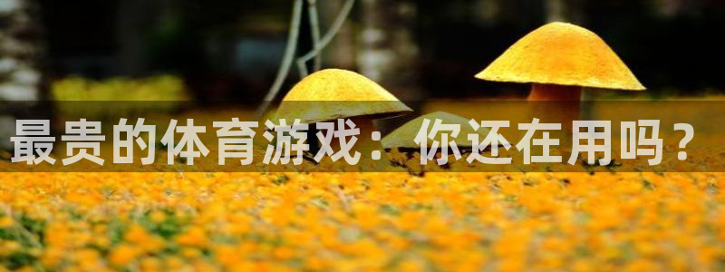 沐鸣网站：最贵的体育游戏：你还在用吗？