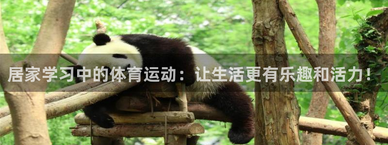 沐鸣f凯捷平台在线注册：居家学习中的体育运动：让生活更有乐趣和活力！