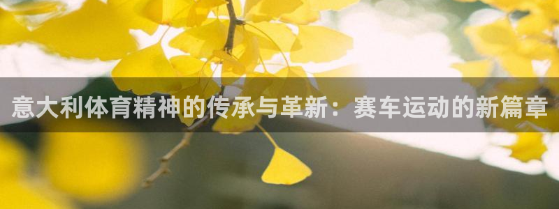 沐鸣2体育：意大利体育精神的传承与革新：赛车运动的新篇章