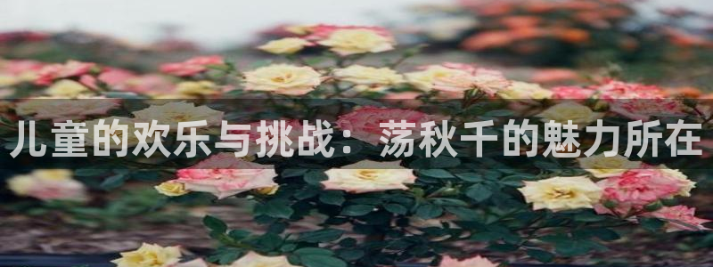 沐鸣代理：儿童的欢乐与挑战：荡秋千的魅力所在