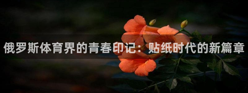 福建沐鸣机电股份公司：俄罗斯体育界的青春印记：贴纸时代的新篇章