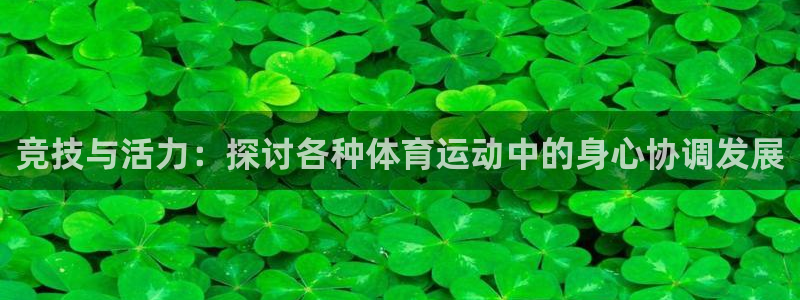 沐鸣体育合法嘛：竞技与活力：探讨各种体育运动中的身心协调发展