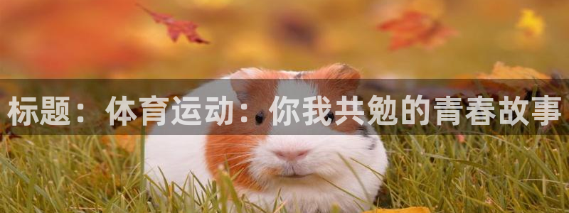 沐鸣2平台官网登录：标题：体育运动：你我共勉的青春故事