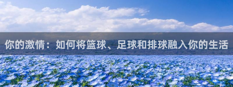 沐鸣网站：你的激情：如何将篮球、足球和排球融入你的生活