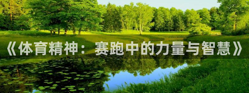 沐鸣娱乐：《体育精神：赛跑中的力量与智慧》