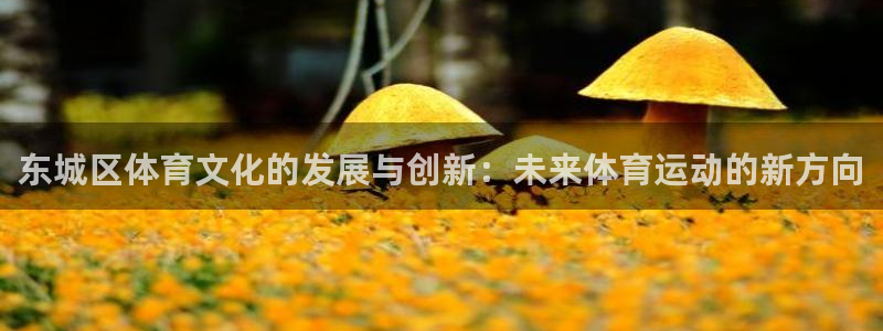 沐鸣2官方登录：东城区体育文化的发展与创新：未来体育运动的新方向