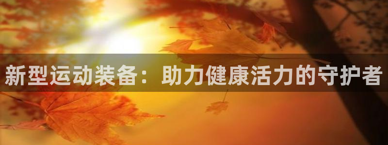成都沐鸣电子有限公司：新型运动装备：助力健康活力的守护者